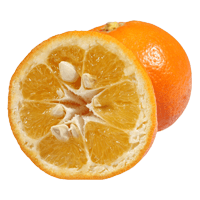 55