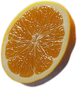 orange2.png