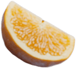 orange4.png