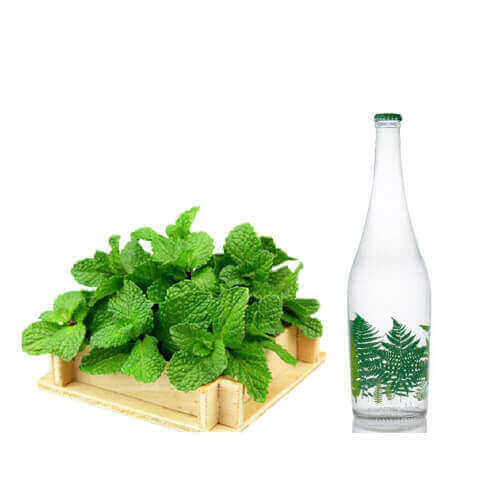 عرقیجات گیاهی