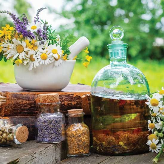 معجون های گیاهی