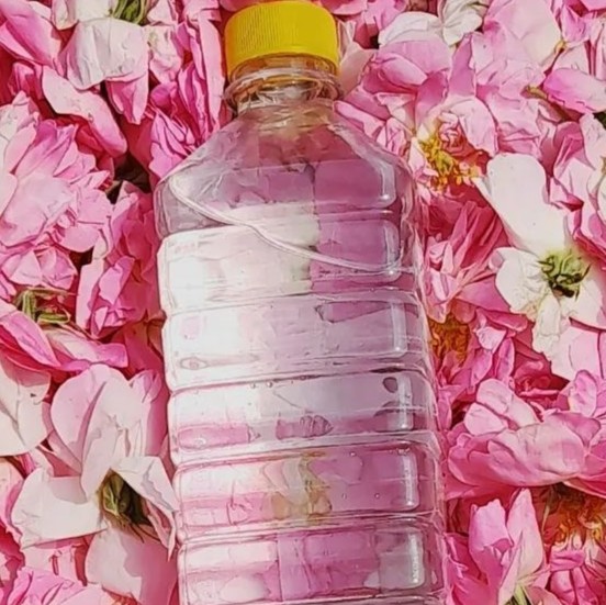 گلاب