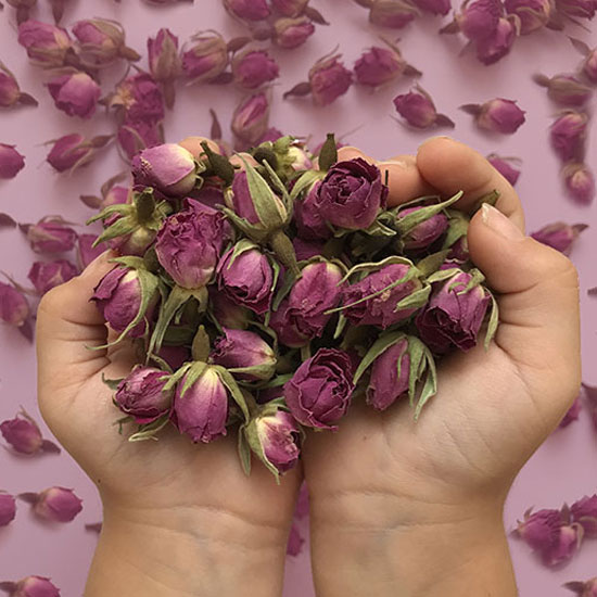 النباتات العطرية
