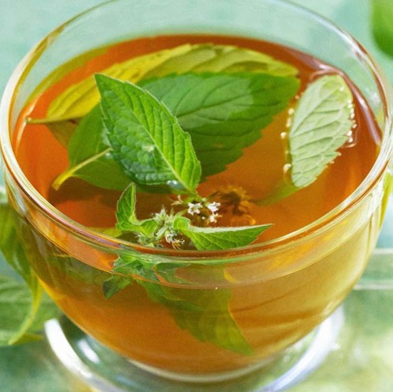 نعناع