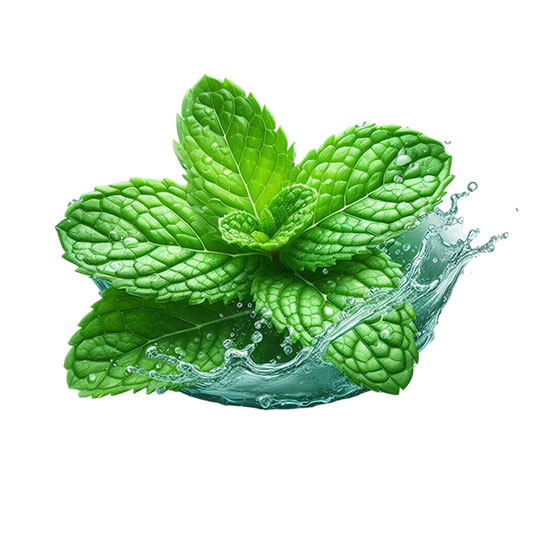 نعناع